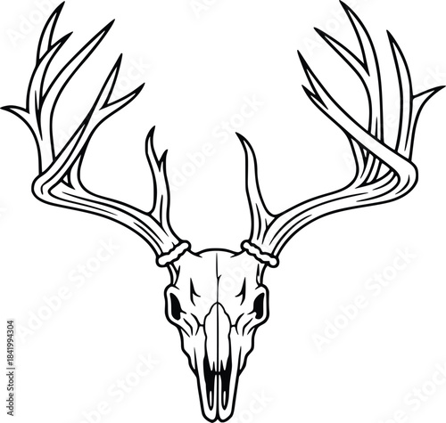 line art deer skull vector illustration