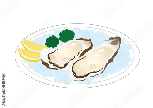 生牡蠣 カキ レモン イラスト ベクター