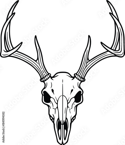 line art deer skull vector hand drawn illustration
