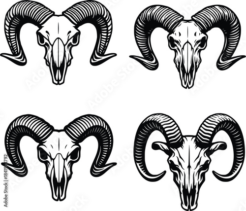goat skull skull vector hand drawn illustration