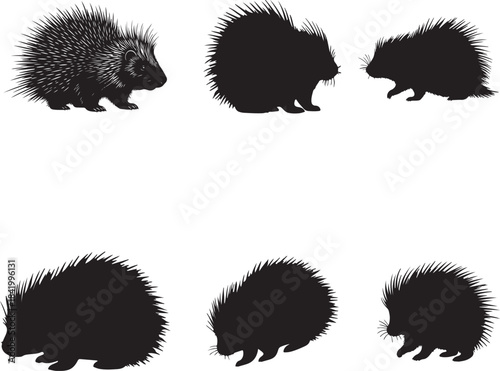 Porcupine Silhouettes