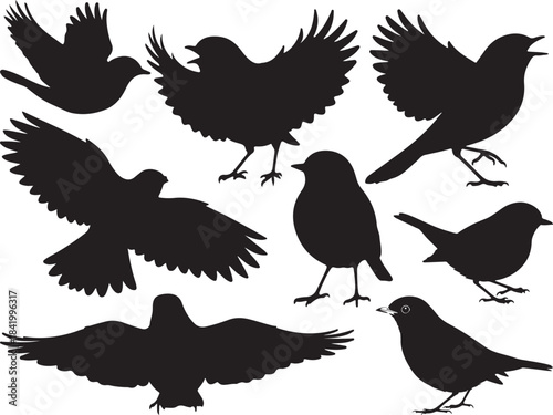 Robin Bird Silhouettes