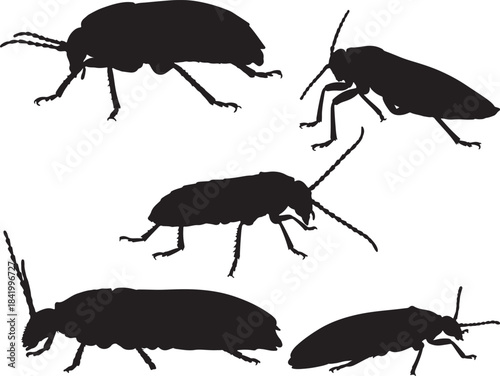 Sugarcane Silhouettes