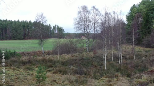 aerial view, drone photography, drone landscape, top view, forest, pine forest, birch trees, mixed forest, woodland, clearing, meadow, wetland, swamp, bog, marsh, pond, lake, reeds, river, stream, win