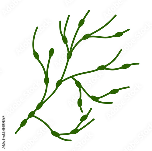 Lymphatic Drainage Nodes