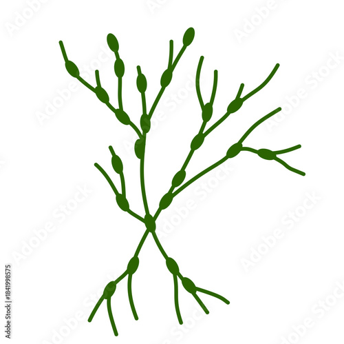 Lymphatic Drainage Nodes