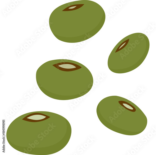 Mung Bean