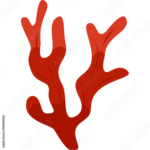 Red Algae Underwater