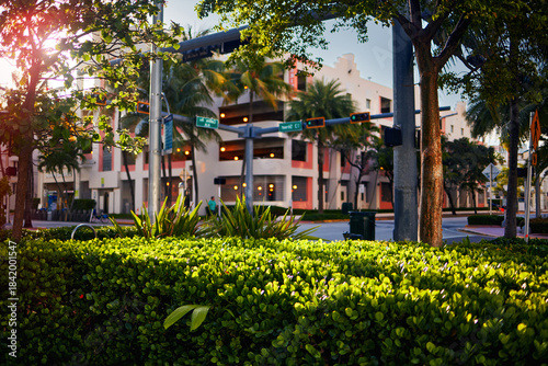 Tropical Morning Glow in South Beach - Lush Urban Greenery and Sunlit Architecture on 13th Street, Miami Beach, Florida