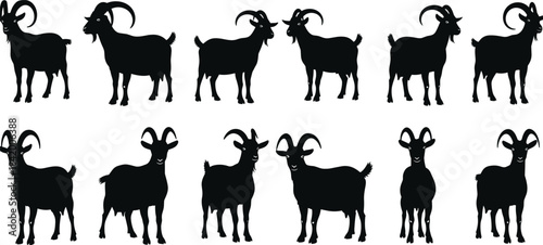 Set of Black Vector Silhouettes of Goats and Rams in Various Standing Poses, Isolated Farm Animals Representing Livestock, Rural Life, Agriculture, and Dairy Farming Design Elements