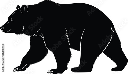 Stylized Black Silhouette of a Large Grizzly Bear Walking or Striding, Detailed Vector Illustration of a Wild North American Animal, Representing Strength, 