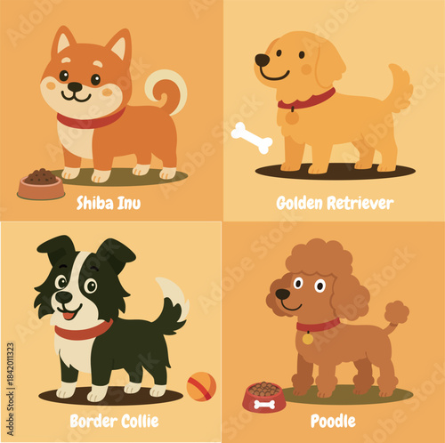 Popular Dog Breeds Set- Golden Retriever, Shiba Inu, Poodle, Border Collie