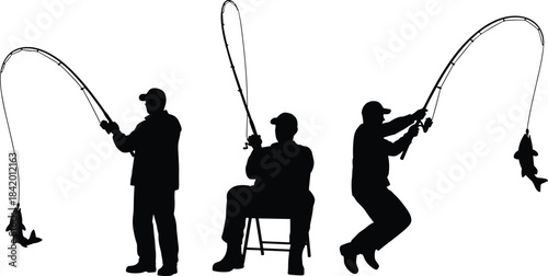 Black Silhouette Collection of Various Tropical Parrot Species, Including Macaws, Cockatiels, and Budgerigars in Standing and Perching Poses, Isolated 