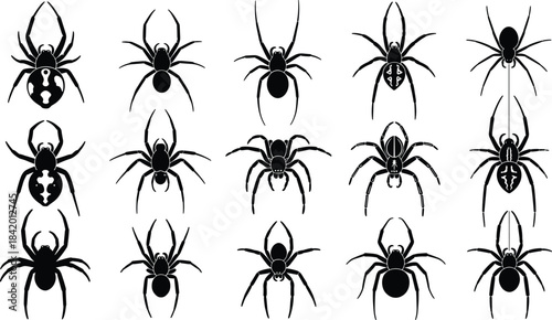 Black Silhouette of a Beautiful Woman or Beauty Queen Wearing a Tiara and an Elegant Evening Gown, Isolated Vector Illustration for Pageant, Glamour, and Fashion Concepts