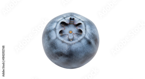 Single ripe blueberry with star shaped calyx against black background fruit purple, Isolated On Png Transparent Background
