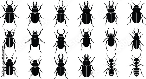 Black Silhouette Insect and Bug Vector Set, Featuring Beetles, Spiders, and Ants for Entomology and Nature Science Iconography Design.