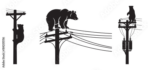 Bear on Power Lines, Wildlife Encounter on Utility Poles Silhouette Illustration.
