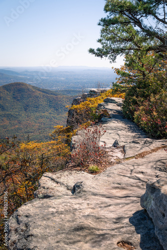 Фотография Appalachian trail in Virginia leading to McAfee Knob, autumn