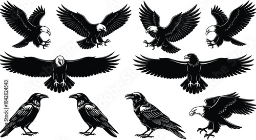 Black Silhouette Set of Four Female Photographers with Ponytails and Backpacks, Holding Cameras to Their Eyes, Isolated Vector Illustration Collection for Travel, Hobby, and Media Concepts