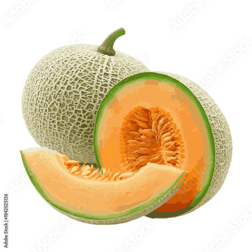 fresh melon