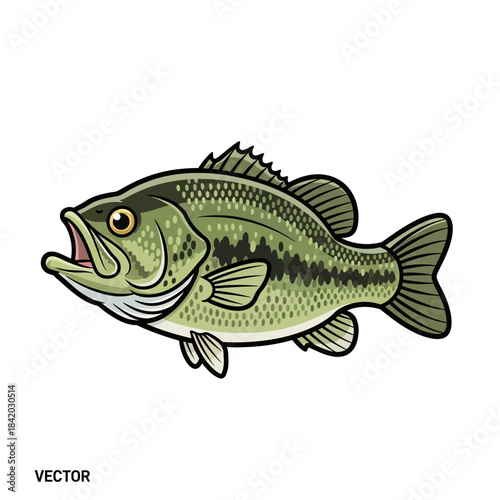 the most popular sea fish in the world kawaii illustration bass fish fourth design