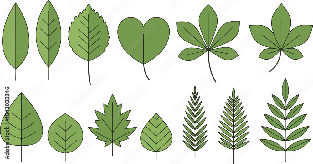 Fototapeta premium Green leaves set isolated on a white background in a simple nature-inspired design