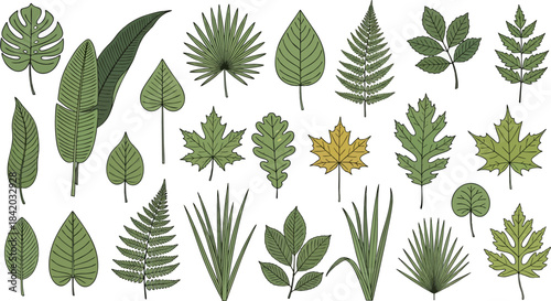 Vector set of green leaves arranged on a clean white background
