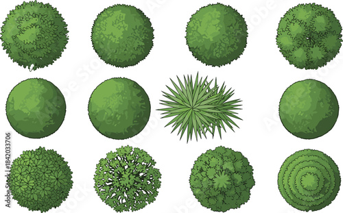 Top View Vector Set of Trees, Shrubs, and Bush Planter Elements for Landscape Architecture: Greenery Collection for Site Plan Drafting.