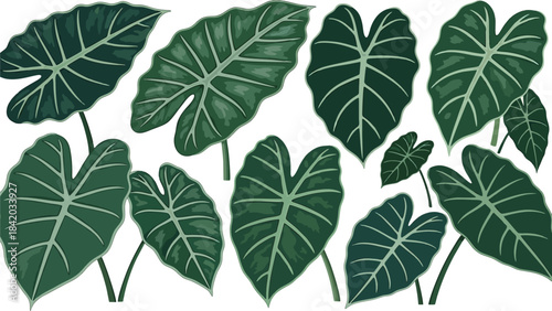 Green leaves isolated on a clean white background in a simple nature-inspired design