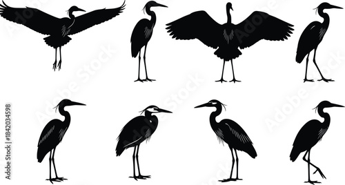 Great Blue Heron and Egret Bird Silhouettes Vector Set: Eight Different Poses of Long-Legged Wading Birds, Flying and Standing, Isolated on White.