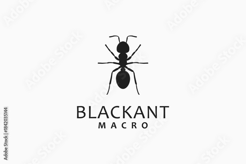 Ant logo symbol icon design