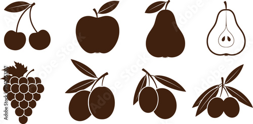 Minimalist fruit illustration set including apples pears cherries grapes and other varieties