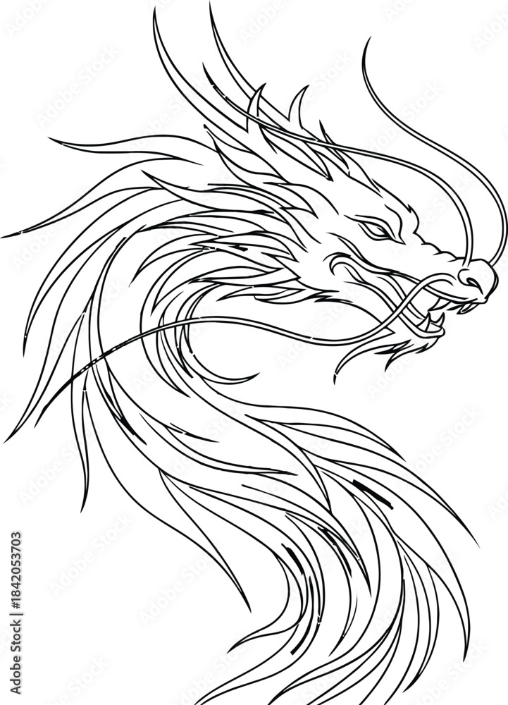 Fototapeta premium Adobe Illustrator Artwork