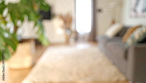 Blurred, bright living room with sofa, plant, and rug