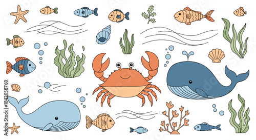 A large collection of cute, hand-drawn sea animal doodles, including whales, a crab, fish, and underwater plants and shells.
