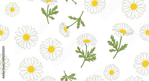 Seamless pattern with hand-drawn white and yellow daisy or chamomile flowers and green leaves scattered on a white background.