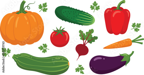 Vector illustration set featuring assorted fresh vegetables including pumpkin, cucumber, tomato, bell pepper, carrot, beet, zucchini, and eggplant with decorative leaves