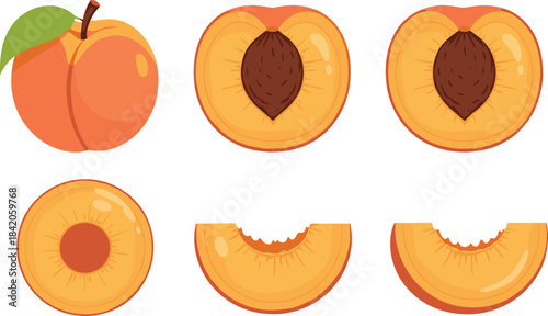 Fresh peach fruit vector illustration set featuring whole peaches, halved peaches, peach slices, and bitten pieces, perfect for food designs and healthy lifestyle projects