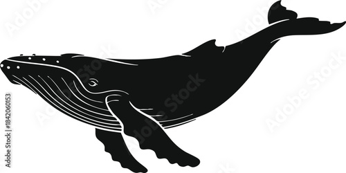 Black Silhouette of a Humpback Whale, Whale Silhouette Swimming, Marine Animal Silhouette (likely Humpback or similar baleen whale), illustration, vector, silhouette