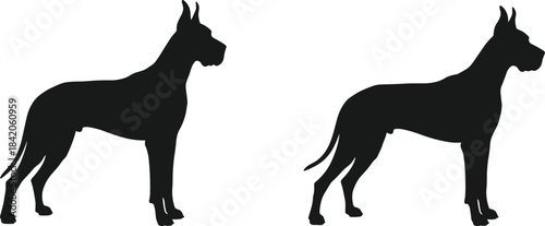 Two black silhouettes of Great Dane dogs standing side by side canine animal