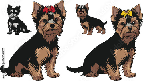 Four cartoon Yorkshire Terrier dogs with bows on white background puppy animal
