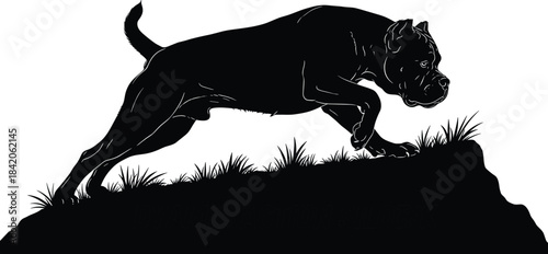 Black silhouette of a muscular dog running on a grassy hill black and white canine
