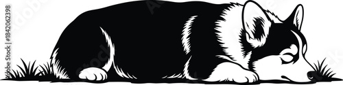 Black and white illustration of a sleeping corgi dog lying on grass lying down