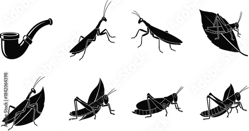insect silhouettes, grasshopper, cricket, praying mantis, tobacco pipe, leaf, black vector icons, nature, pest, farm, garden illustration