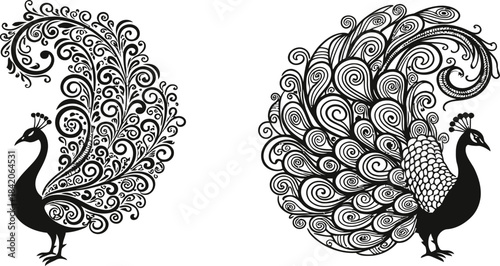 ornamental peacock illustration set, decorative tail feathers, henna style pattern, elegant bird silhouette, ethnic design, tattoo, luxury decoration art