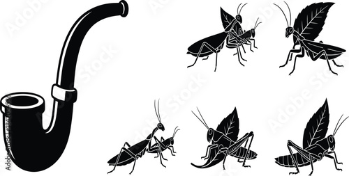 insect silhouettes with tobacco pipe, grasshopper and praying mantis, leaf wings, black vector icons, nature, pest, farm illustration