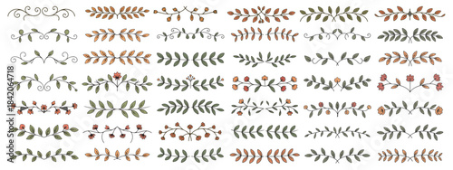 Elegant Botanical Floral Dividers And Decorative Leaf Borders For Creative Design Projects