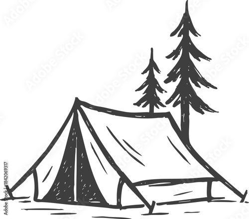 Camping tent with pine trees