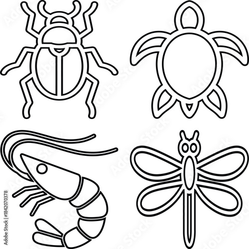 Outline illustrations of a beetle turtle shrimp and dragonfly