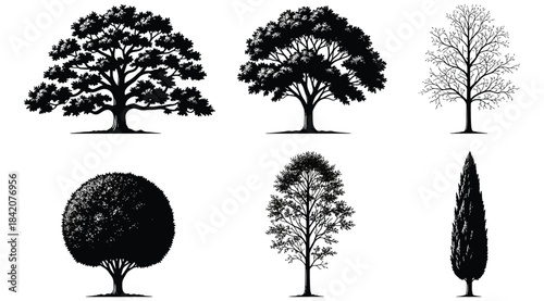 Silhouette illustration of six distinct tree shapes with varied foliage and branching styles – ideal for botanical references, landscape design, environmental visuals, and artistic studies of tree for